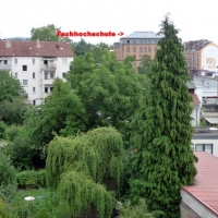 G_15