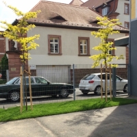 Fachakademie über die Straße!